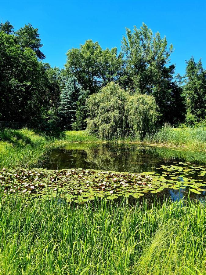 Villa Wrzosowe Siedlisko Czosnów Exterior foto